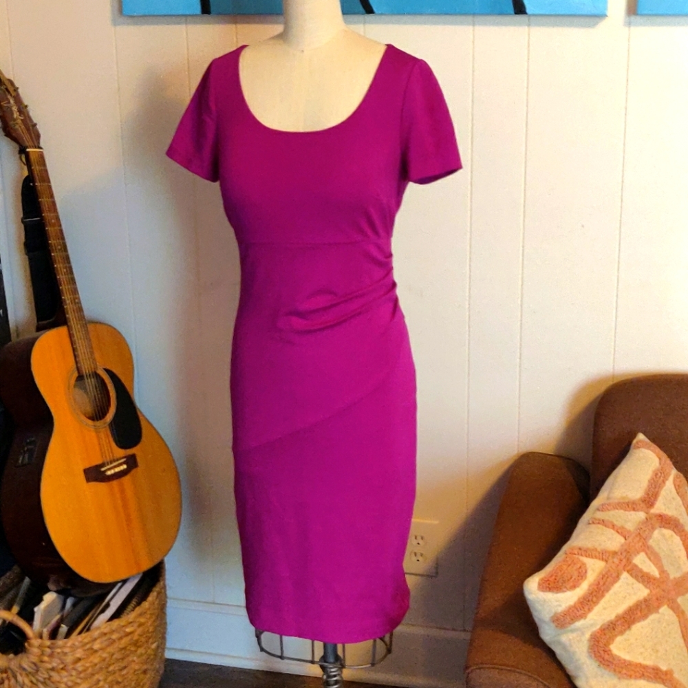 Fuschia Diane Von Furstenberg Bevina Sheath Dress